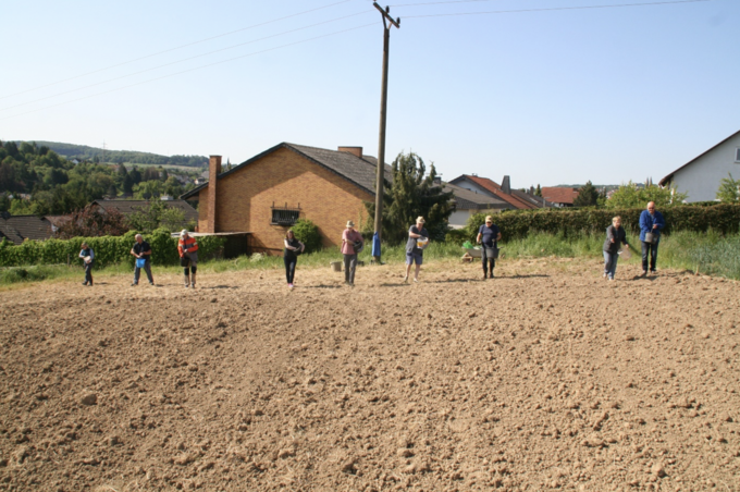 In einer Reihe gehen die Mitglieder des NABU Köllertal über das vorbereitete Feld und bringen  die Samen-Sand-Mischung aus